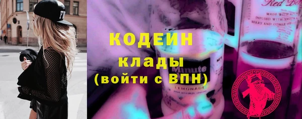 хмурый Магас
