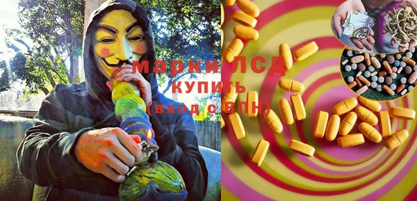 хмурый Магас