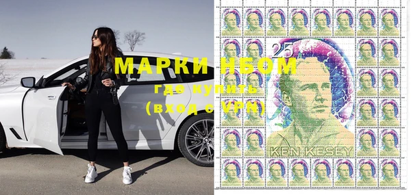 хмурый Магас