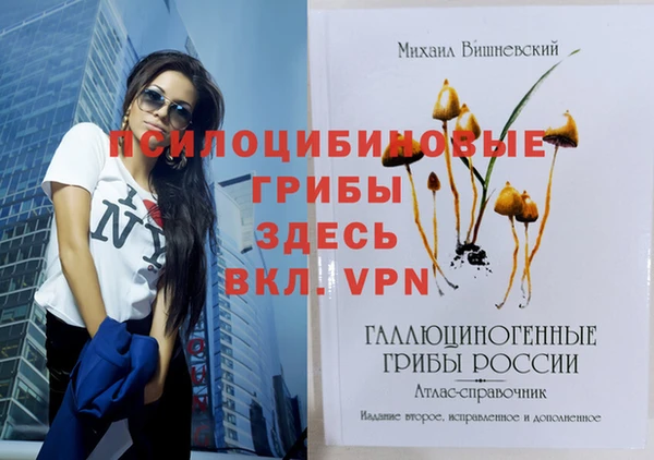хмурый Магас