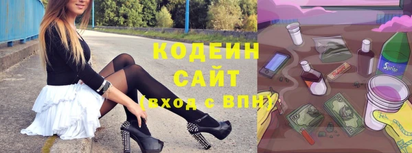 хмурый Магас