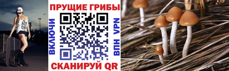 Псилоцибиновые грибы мухоморы  Старый Крым 
